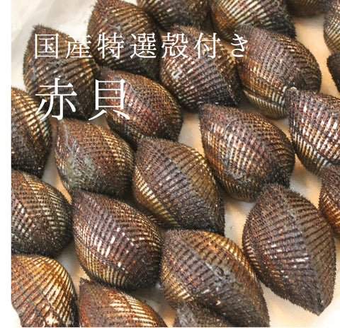 活 特選 赤貝 国産(石巻渡波・閖上・岸和田・山口 他)豊洲直送 国産 本玉 冷蔵