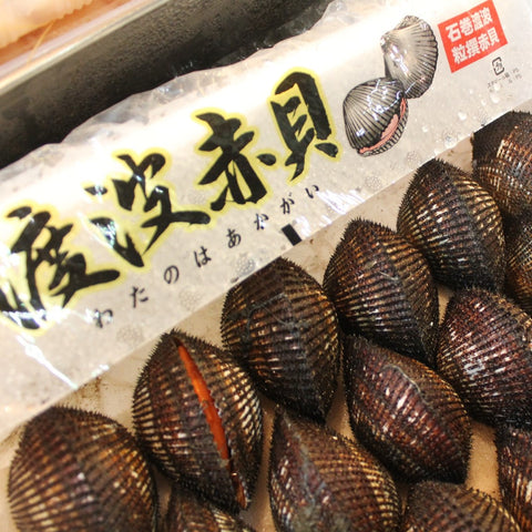 活 特選 赤貝 国産(石巻渡波・閖上・岸和田・山口 他)豊洲直送 国産 本玉 冷蔵