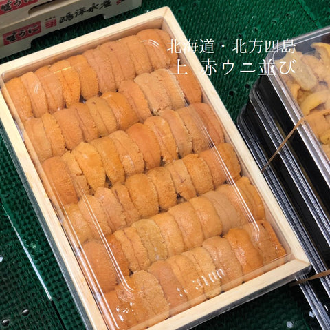 上ウニ 並び 北海道（礼文・利尻）・北方四島産 バフンウニ 赤ウニ 約250g 弁当箱【赤ウニ並びｘ１】冷蔵