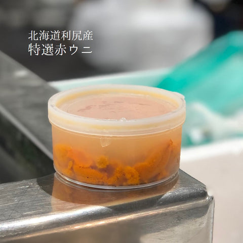 北海道利尻産 特選赤ウニ 塩水エゾバフンウニ 100g 【利尻 塩水 赤雲丹x1】冷蔵 豊洲直送