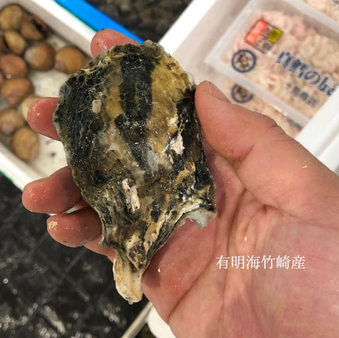 春の真牡蠣セット(殻付き牡蠣 生食用カキ)3種各5個計15個セット(三陸米崎・室津・竹崎)豊洲の目利き厳選 【春の牡蠣セット】冷蔵