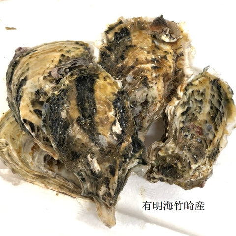 春の真牡蠣セット(殻付き牡蠣 生食用カキ)3種各5個計15個セット(三陸米崎・室津・竹崎)豊洲の目利き厳選 【春の牡蠣セット】冷蔵