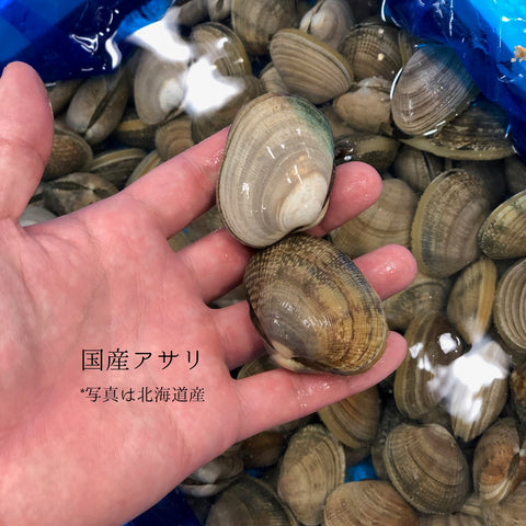 特選 春の貝類セット(5種:ハマグリ500g・アサリ500g・国産赤貝3個・平貝1個・バイ貝500g)計2キロ以上 国産貝類セット 豊洲の目利き厳選【春の高級貝セット】冷蔵 豊洲直送