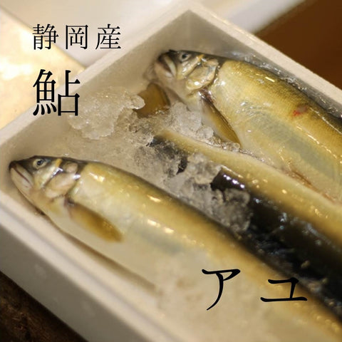 アユ 3匹 静岡 他 豊洲直送 鮎 鮮魚 養殖【鮎3尾入】 冷蔵