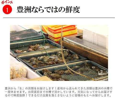 海鮮 バーベキューセット 上 豊洲直送 5種類3.5kg(ホンビノス1kg・サザエ1kg・ホタテ5枚・アワビ2枚・カキ3枚)バーベキュー BBQ 岩牡蠣【BBQ上セット】 冷蔵