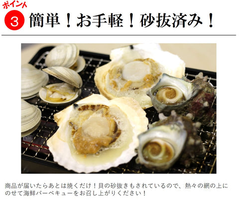 海鮮 バーベキューセット 上 豊洲直送 5種類3.5kg(ホンビノス1kg・サザエ1kg・ホタテ5枚・アワビ2枚・カキ3枚)バーベキュー BBQ 岩牡蠣【BBQ上セット】 冷蔵