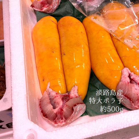 特大 ボラ子 上 国産(鹿児島・大分・長崎・淡路など)1腹約500g前後 ボラの卵(真子)【 ボラコ 500g 】冷蔵 豊洲直送