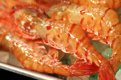 生 最高級ボタンエビ 海老 北海道産 約60g 大サイズ 約5尾 刺身OK 豊洲直送【生ボタンエビx5本】 冷蔵