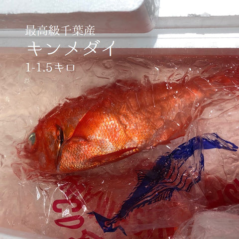 最高級 金目鯛 千葉産 地金目 1尾1~1.5kg 【千葉産キンメダイ1-1.5K】 冷蔵