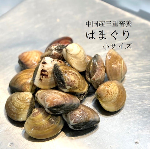 畜養はまぐり 小サイズ (1個30gサイズ)ハマグリ 蛤【畜養ハマグリ(30g)】冷蔵
