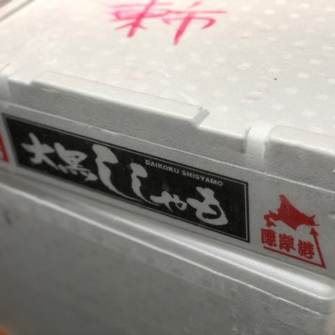 大国ししゃも オス 北海道厚岸産 500g 特上鮮魚【大国シシャモ雄x500g】冷蔵 豊洲直送