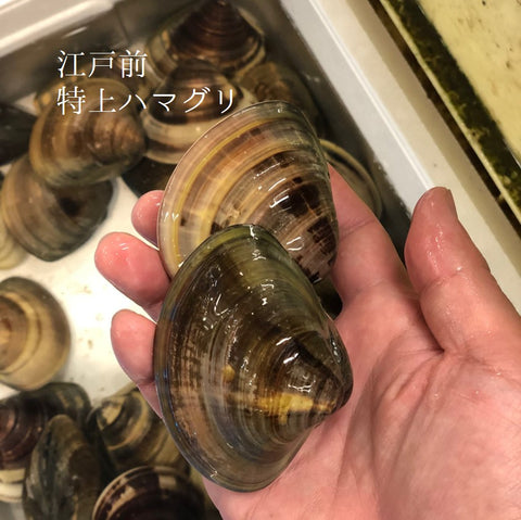 天然 江戸前 ハマグリ 最高級 蛤 東京湾 三番瀬 葛西 他 豊洲直送 1キロ(1個約70-120g)【江戸前はまぐり1K】冷蔵
