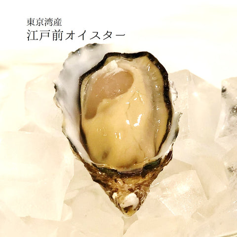江戸前オイスター 真牡蠣 殻付き牡蠣 生食用カキ 千葉富津産(50-80g/1個) 10個 豊洲直送 かき カキ 【江戸前牡蠣x10個】 冷蔵