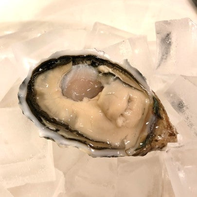 江戸前オイスター 真牡蠣 殻付き牡蠣 生食用カキ 千葉富津産(50-80g/1個) 10個 豊洲直送 かき カキ 【江戸前牡蠣x10個】 冷蔵