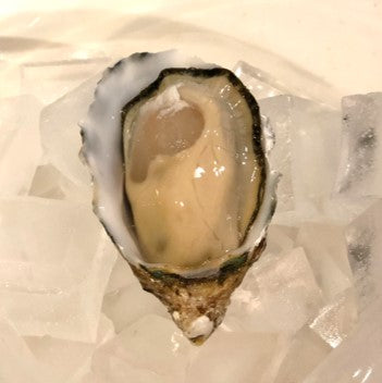 江戸前オイスター 真牡蠣 殻付き牡蠣 生食用カキ 千葉富津産(50-80g/1個) 10個 豊洲直送 かき カキ 【江戸前牡蠣x10個】 冷蔵