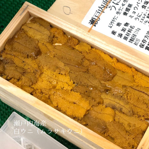 愛媛産 ムラサキウニ 1枚 瀬戸内海産ウニ【愛媛ムラサキウニx1枚】冷蔵 豊洲直送