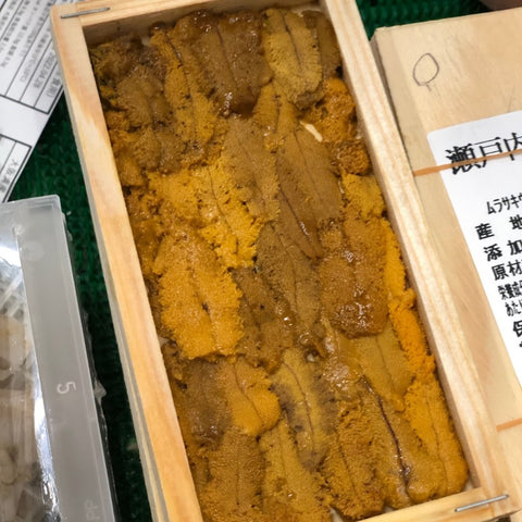 愛媛産 ムラサキウニ 1枚 瀬戸内海産ウニ【愛媛ムラサキウニx1枚】冷蔵 豊洲直送