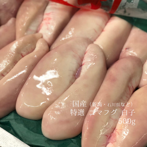 生 ゴマフグ 白子 500g 特選 国産（新潟県・石川県など）【ゴマフグ白子0.5K】冷蔵 豊洲直送