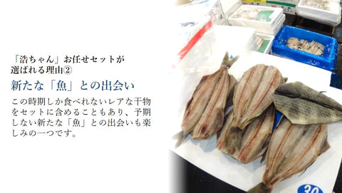 高級干物 詰め合わせ セット 豊洲「浩ちゃん」のお任せセット「特上」贈答用 プレゼント 【浩ちゃん干物セット「特上」】 冷凍