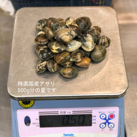 特選 春の貝類セット(5種:ハマグリ500g・アサリ500g・国産赤貝3個・平貝1個・バイ貝500g)計2キロ以上 国産貝類セット 豊洲の目利き厳選【春の高級貝セット】冷蔵 豊洲直送