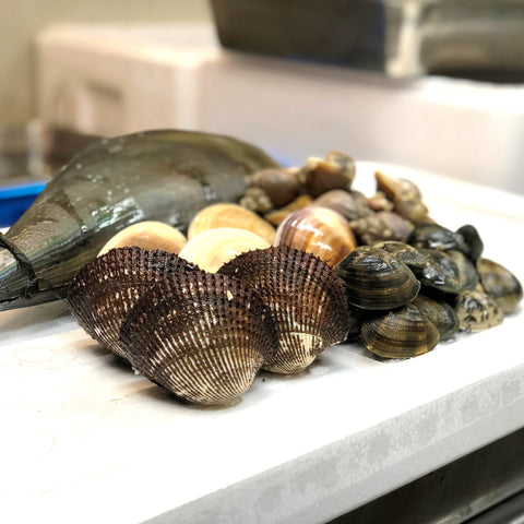 特選 春の貝類セット(5種:ハマグリ500g・アサリ500g・国産赤貝3個・平貝1個・バイ貝500g)計2キロ以上 国産貝類セット 豊洲の目利き厳選【春の高級貝セット】冷蔵 豊洲直送