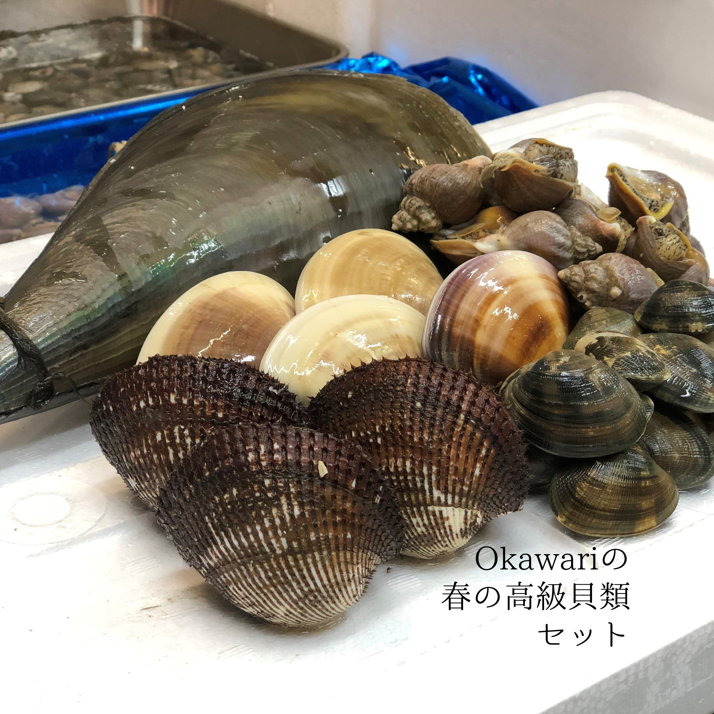 特選 春の貝類セット（5種：ハマグリ500g・アサリ500g・国産赤貝 ...