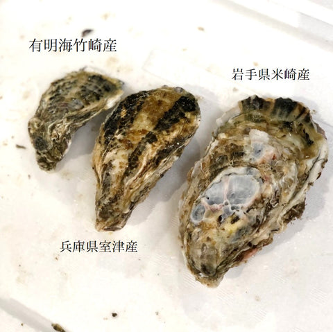 春の真牡蠣セット(殻付き牡蠣 生食用カキ)3種各5個計15個セット(三陸米崎・室津・竹崎)豊洲の目利き厳選 【春の牡蠣セット】冷蔵
