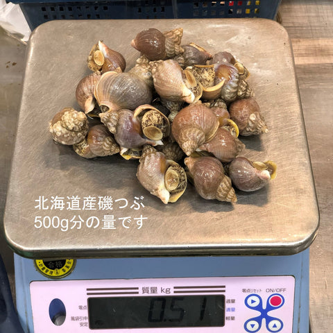 特選 春の貝類セット(5種:ハマグリ500g・アサリ500g・国産赤貝3個・平貝1個・バイ貝500g)計2キロ以上 国産貝類セット 豊洲の目利き厳選【春の高級貝セット】冷蔵 豊洲直送