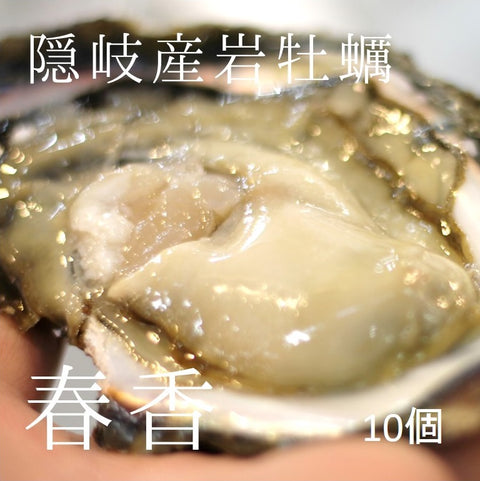 岩牡蠣 春香 殻付き牡蠣 生食用カキ 島根県隠岐の島産 Sサイズ 10個【豊洲直送】 冷蔵 かき 岩かき はるか【春香10個】 冷蔵