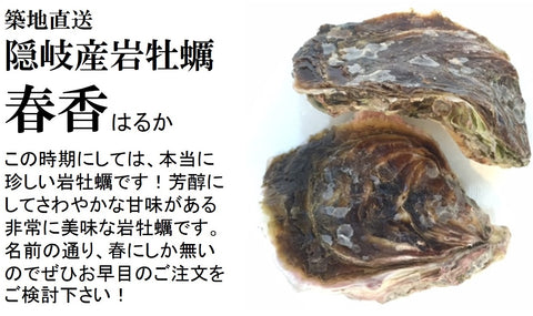 岩牡蠣 春香 殻付き牡蠣 生食用カキ 島根県隠岐の島産 Sサイズ 10個【豊洲直送】 冷蔵 かき 岩かき はるか【春香10個】 冷蔵