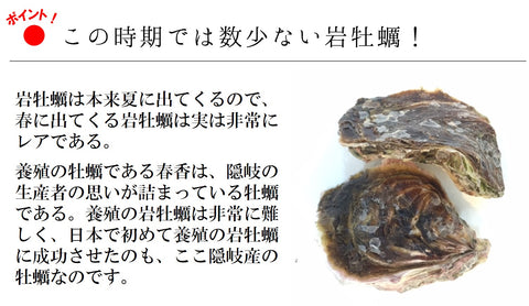 岩牡蠣 春香 殻付き牡蠣 生食用カキ 島根県隠岐の島産 Sサイズ 10個【豊洲直送】 冷蔵 かき 岩かき はるか【春香10個】 冷蔵