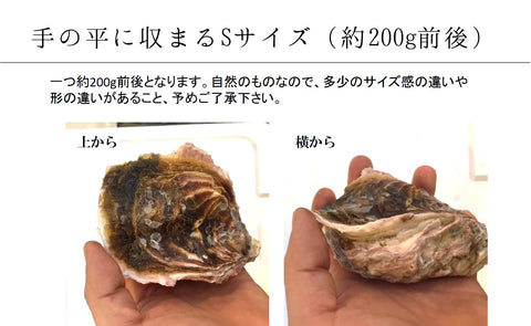 岩牡蠣 春香 殻付き牡蠣 生食用カキ 島根県隠岐の島産 Sサイズ 10個【豊洲直送】 冷蔵 かき 岩かき はるか【春香10個】 冷蔵