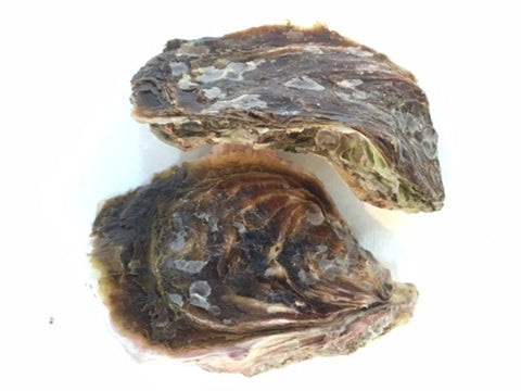 岩牡蠣 春香 殻付き牡蠣 生食用カキ 島根県隠岐の島産 Sサイズ 10個【豊洲直送】 冷蔵 かき 岩かき はるか【春香10個】 冷蔵