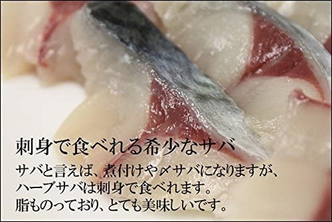 ハーブサバ 長崎産 養殖 500-700gサイズ1尾【ハーブ鯖x1】冷蔵 豊洲直送