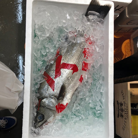 ヒラスズキ 平鱸 国産(三重・千葉 他)1尾1.5-2kg【ヒラスズキ1.5-2kg】冷蔵