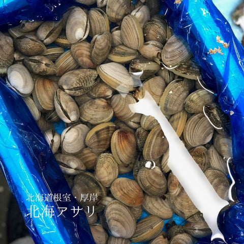 北海アサリ 1kg 北海道根室・厚岸産 特大サイズ（1個20-30g前後）【北海アサリ1K】冷蔵 豊洲直送