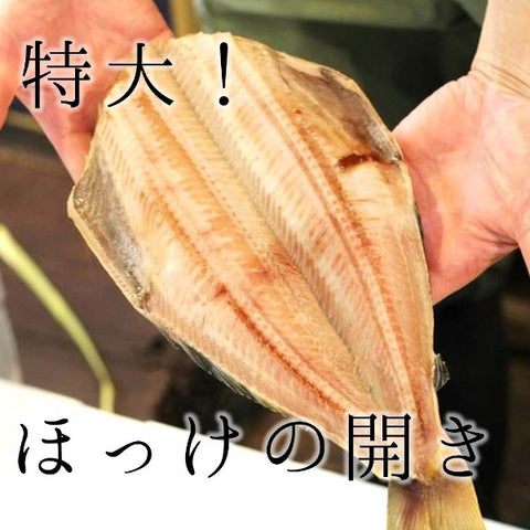 ほっけ 開き 干物 特大サイズ 1枚（約500g） 【特大ホッケ】 冷凍