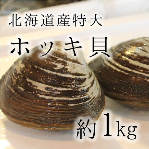 活けホッキ貝 北海道産 計1kg（約500g/個x2） 豊洲直送 高級貝類 北寄貝 ウバガイ【ホッキ貝１K（2個）】 冷蔵
