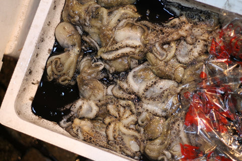 イイダコ(子持ち) 佐賀産 他 約500g 飯蛸 豊洲直送 タコ コモチダコ いいだこ【イイダコ500g】 冷蔵