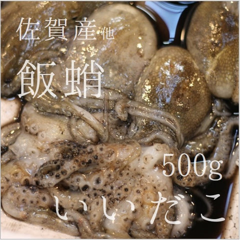 イイダコ(子持ち) 佐賀産 他 約500g 飯蛸 豊洲直送 タコ コモチダコ いいだこ【イイダコ500g】 冷蔵