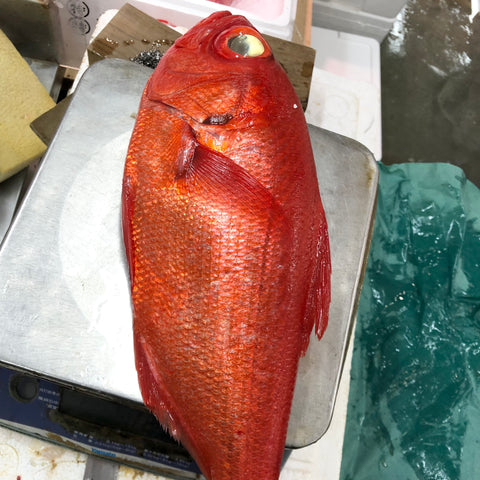 最高級 金目鯛 千葉産 地金目 1尾1~1.3kg 【千葉産キンメダイ1-1.3K】 冷蔵