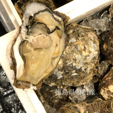 国産 岩牡蠣(殻付き 生食用)中~大サイズ 計3個(1個約350~500g)豊洲直送 【岩ガキ 中大 3個】 冷蔵
