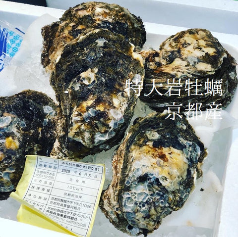 天然岩牡蠣 京都 舞鶴・栗田・伊根産 1個500g前後計4個 特大サイズ 高級岩ガキ【京都天然岩牡蠣500gx4個】冷蔵