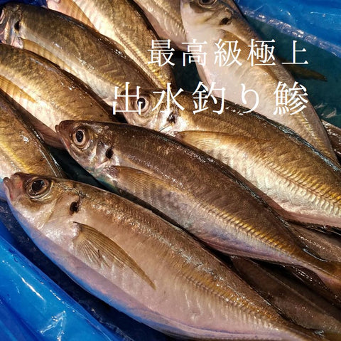 出水 特上 釣り鯵 豊洲最高級 鹿児島出水産 計5尾（1尾130-180g前後)【出水アジ５尾】 冷蔵