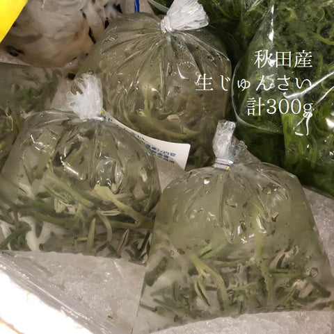 じゅんさい 秋田産 他 計300g(100g×3束)ジュンサイ 生ジュンサイ 豊洲直送【ジュンサイ300g】 冷蔵