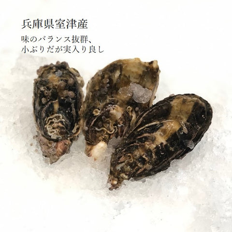 真牡蠣の4種 お任せセット 各種5個 計20個入 小長井・三陸・室津・厚岸産など 豊洲直送【真牡蠣4種x5個】冷蔵