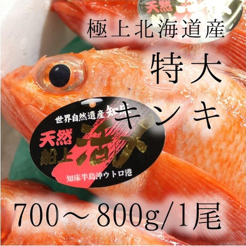 キンキ 特大サイズ 約700-800g （豊洲直送）北海道網走/知床産 きんき ギフト 贈答用 お中元 釣りキンキ【生キンキ700-800g】 冷蔵