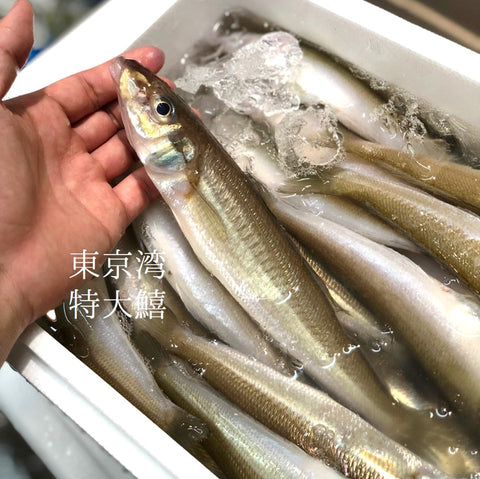 特大キス 東京湾・九州他 計500g(1本約70-120g・5本前後)【特大鱚0.5kg】冷蔵 豊洲直送