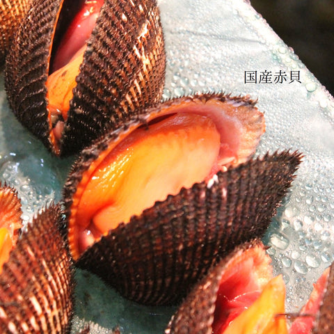 特選 春の貝類セット(5種:ハマグリ500g・アサリ500g・国産赤貝3個・平貝1個・バイ貝500g)計2キロ以上 国産貝類セット 豊洲の目利き厳選【春の高級貝セット】冷蔵 豊洲直送