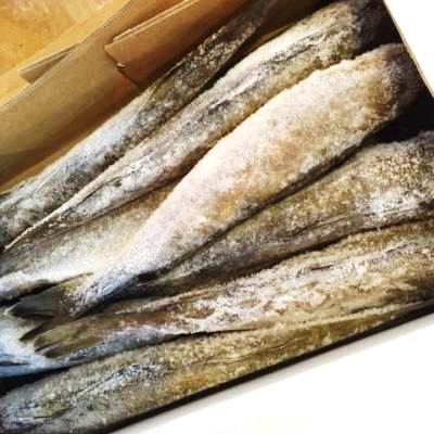 コマイの一夜干し 北海道産 1箱(約500g/6~8尾) 一夜干し コマイ こまい 氷下魚 おつまみ バーベキュー BBQ【コマイ1箱(500g)】 冷凍